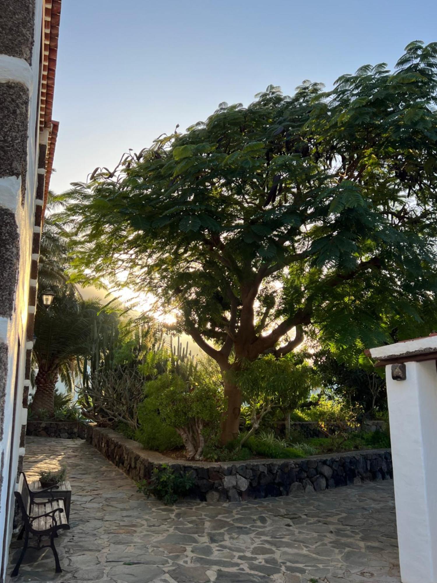 Finca Exclusiv La Mareta Agaete  Kültér fotó