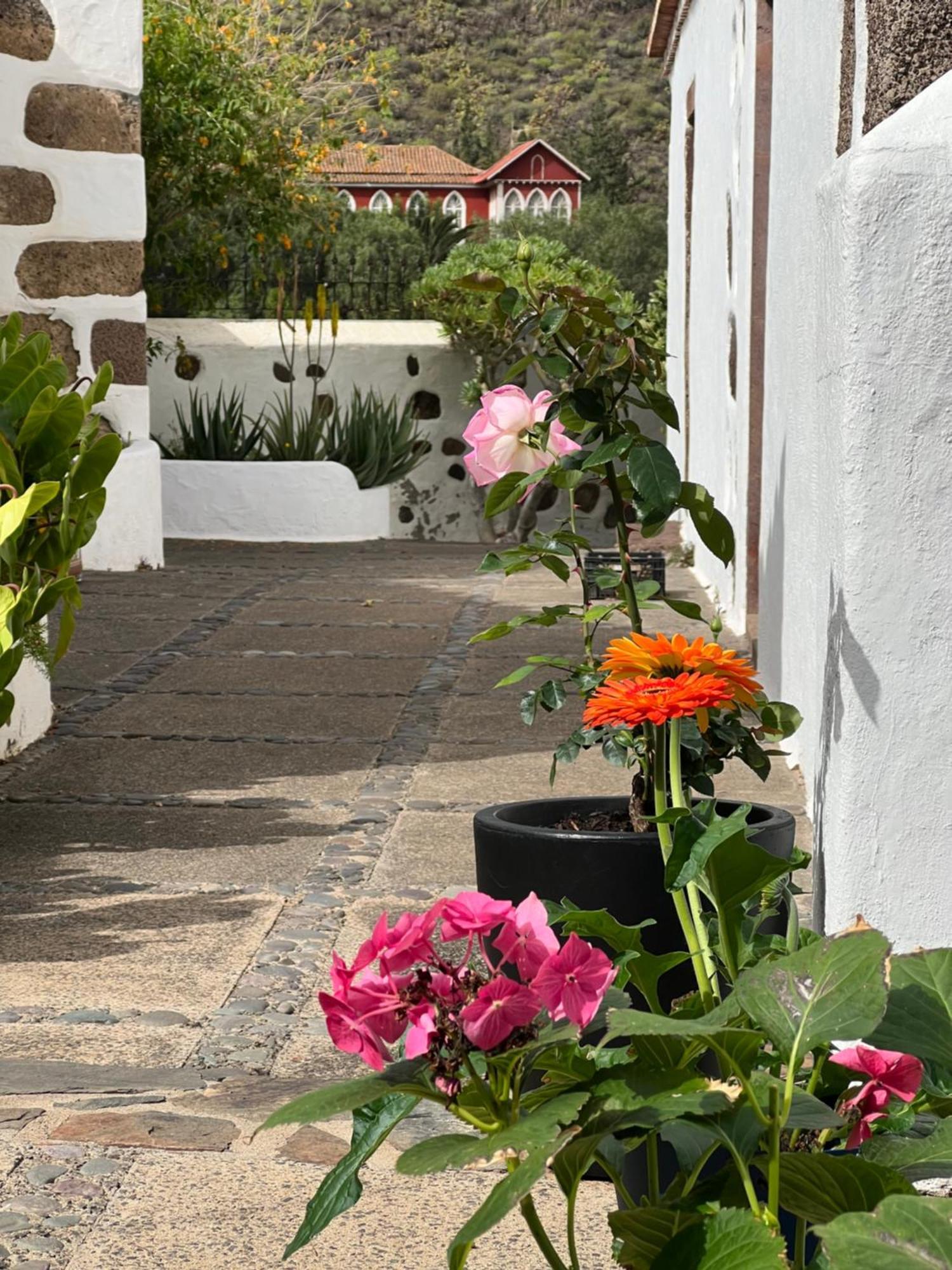 Finca Exclusiv La Mareta Agaete  Kültér fotó