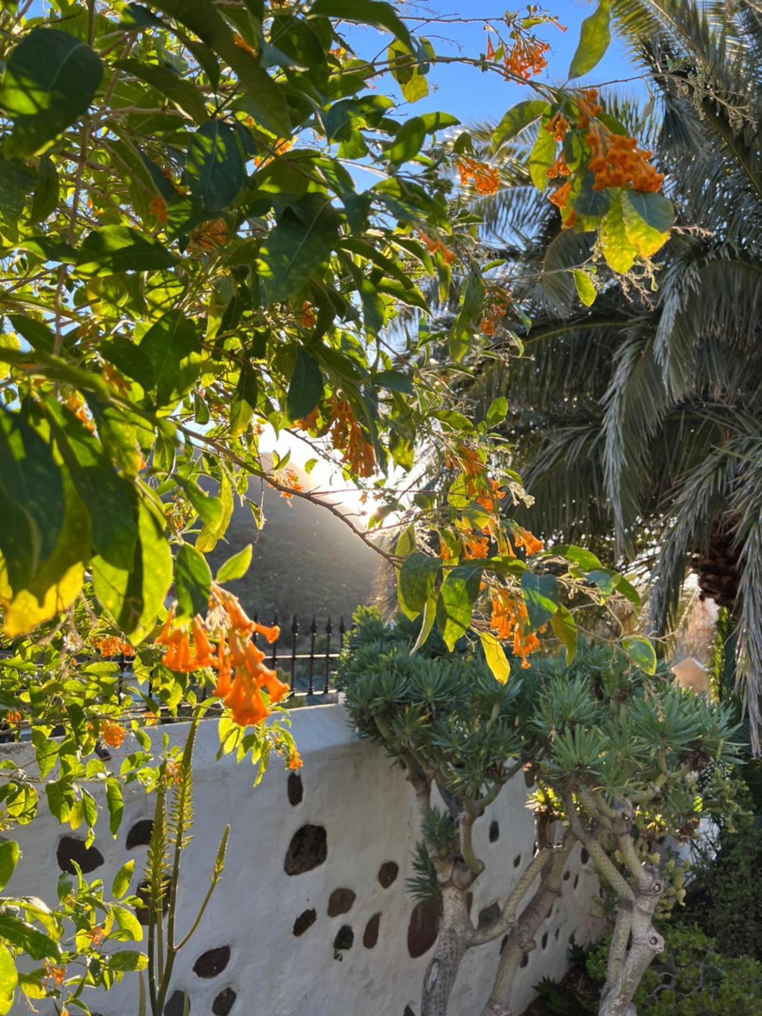 Finca Exclusiv La Mareta Agaete  Kültér fotó