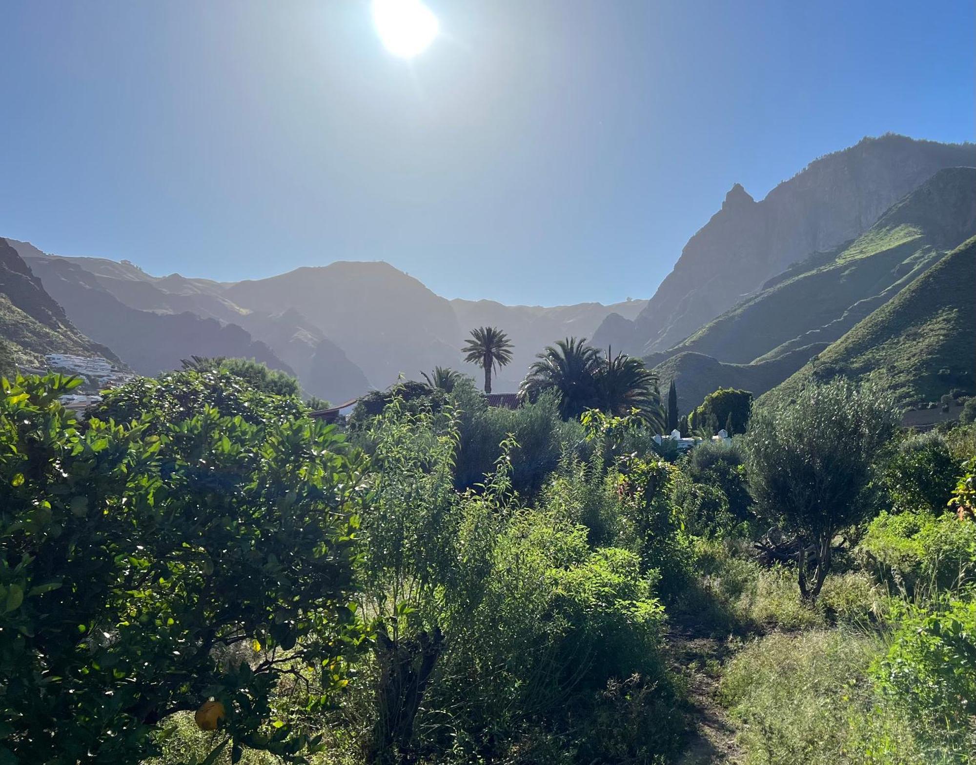 Finca Exclusiv La Mareta Agaete  Kültér fotó